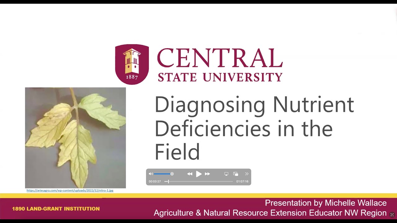 Diagnosing Nutrient Deficiencies