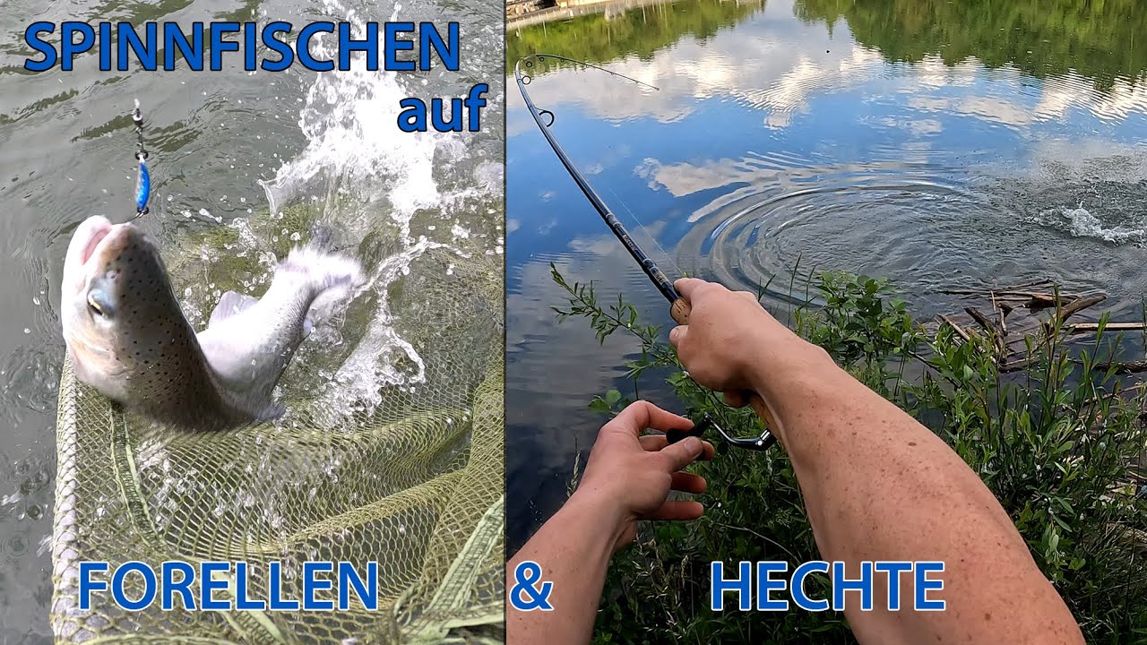 Spinnfischen auf Mur-Hecht und Forelle  •  Catch & Cook