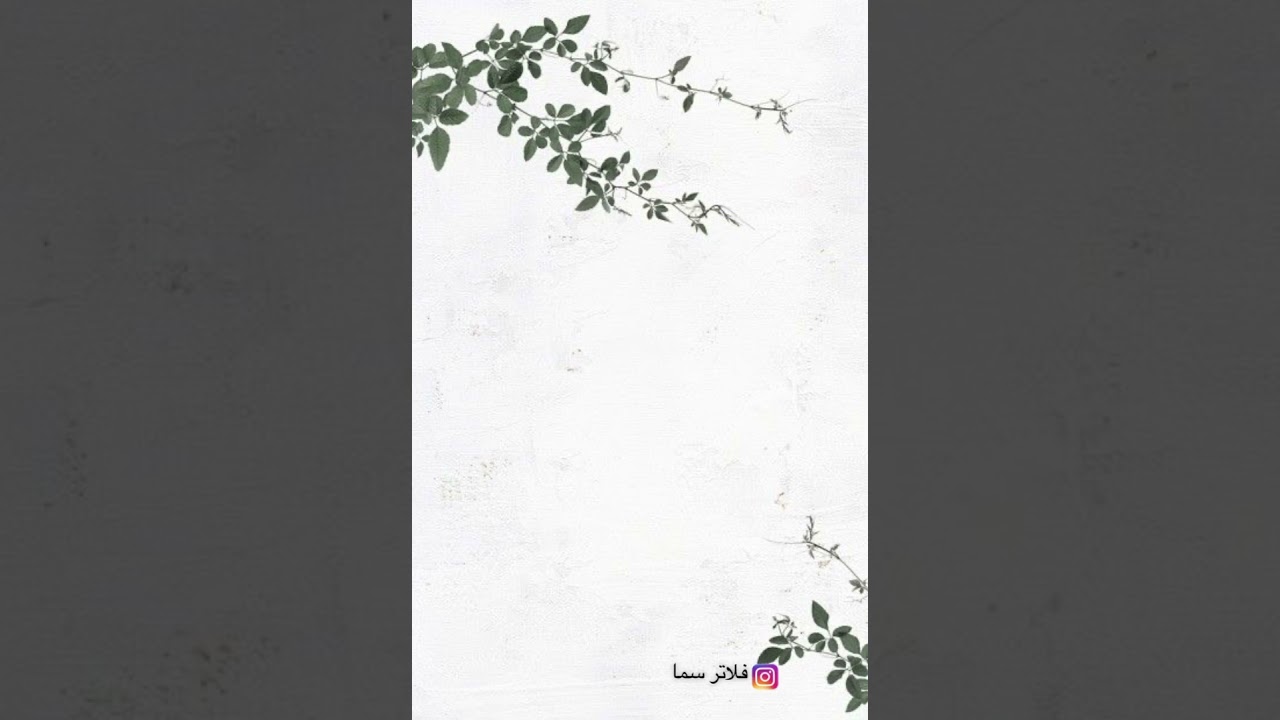 عودة حلقات القرآن الكريم