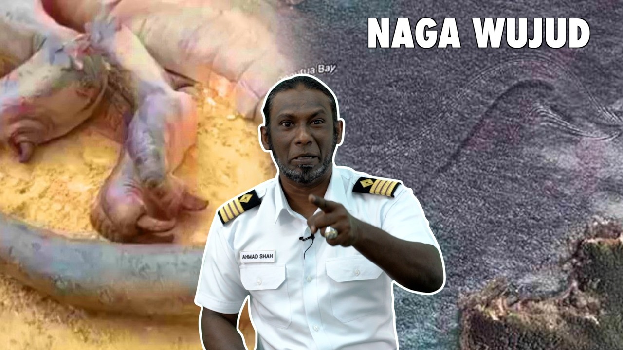 Saya Rasa Naga Wujud