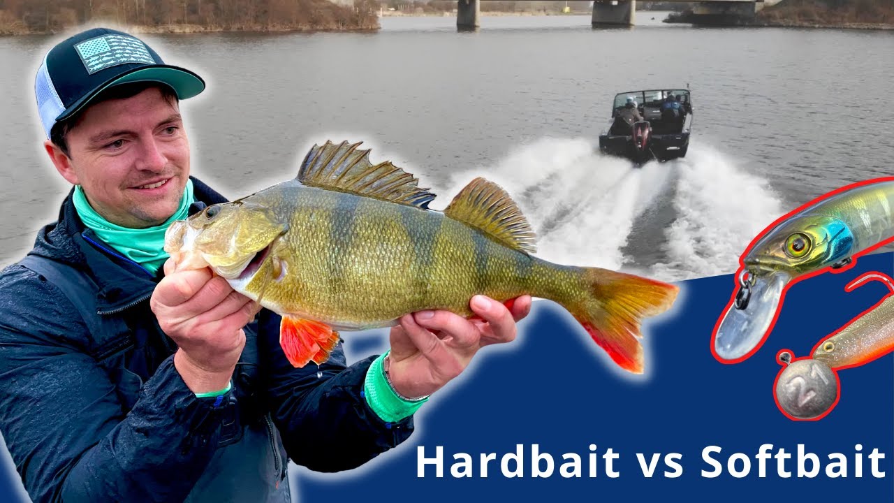 Mit Twitchbait auf Barsche im Winter - Softbait vs. Hardbait
