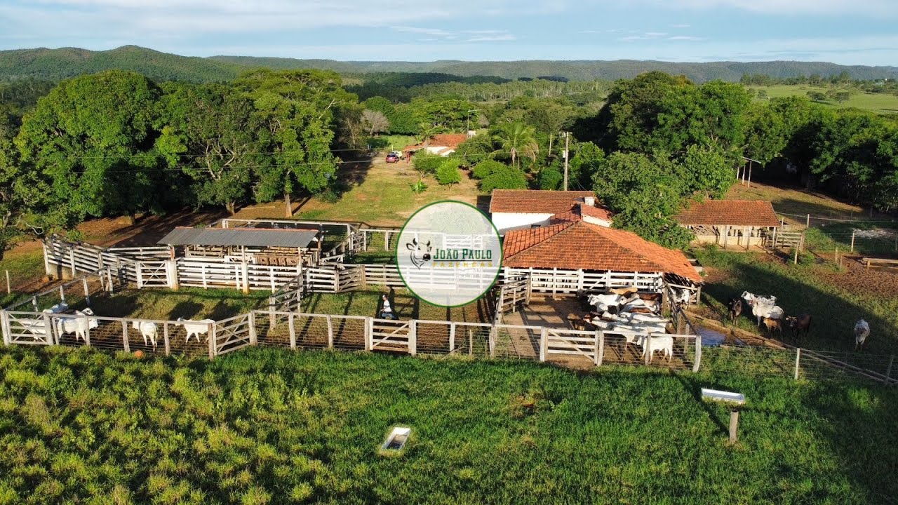 SÍTIO A VENDA EM UNAÍ-MG - 24 HECTARES