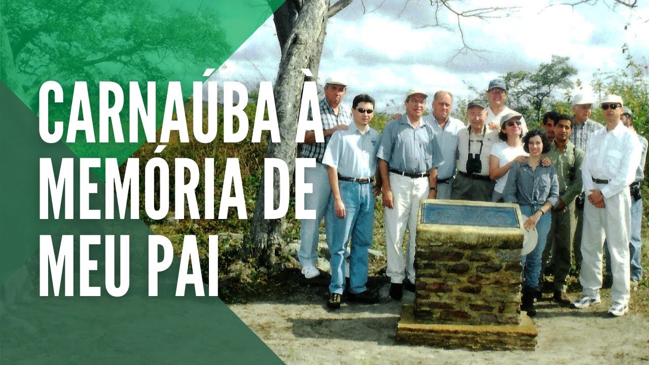 Documentário Carnaúba à memória de meu pai