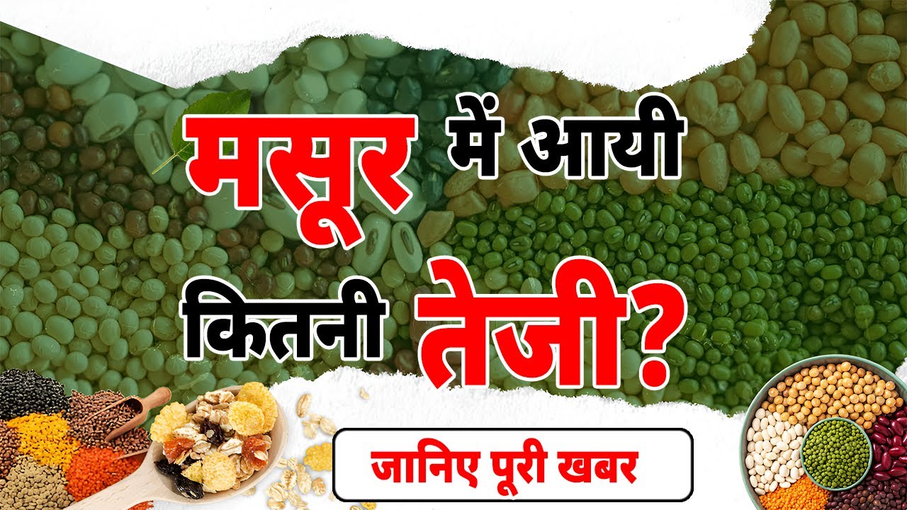 मसूर दाल मार्केट अपडेट 📊 | Masoor Dal Price Today | Pulses Market Big News