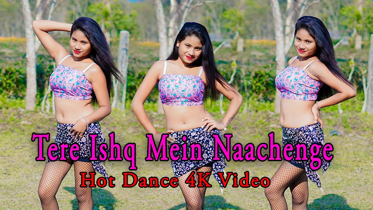 Tere Ishq Mein Naachenge | Dance Cover | Kumar Sanu Alisha Chinai | Nadeem Shravan | Bollywood Dance