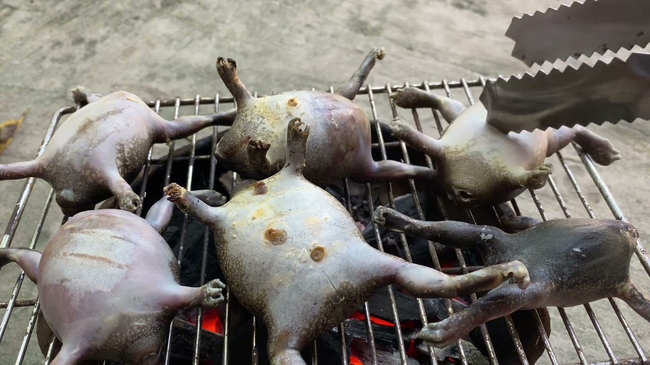 Ếch Òn Đá Nướng Mọi. Đặc Sản Bình Thuận