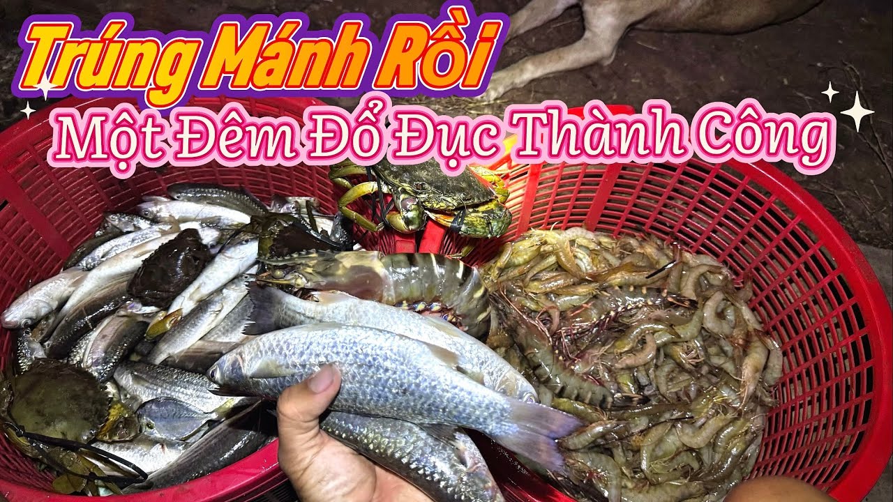 Một Đêm Trúng Đậm Với Đầy Tôm, Cá Đối Bự, Cua Gạch Bự - Xổ Đục Con Nước Gió Thỏi Mạnh