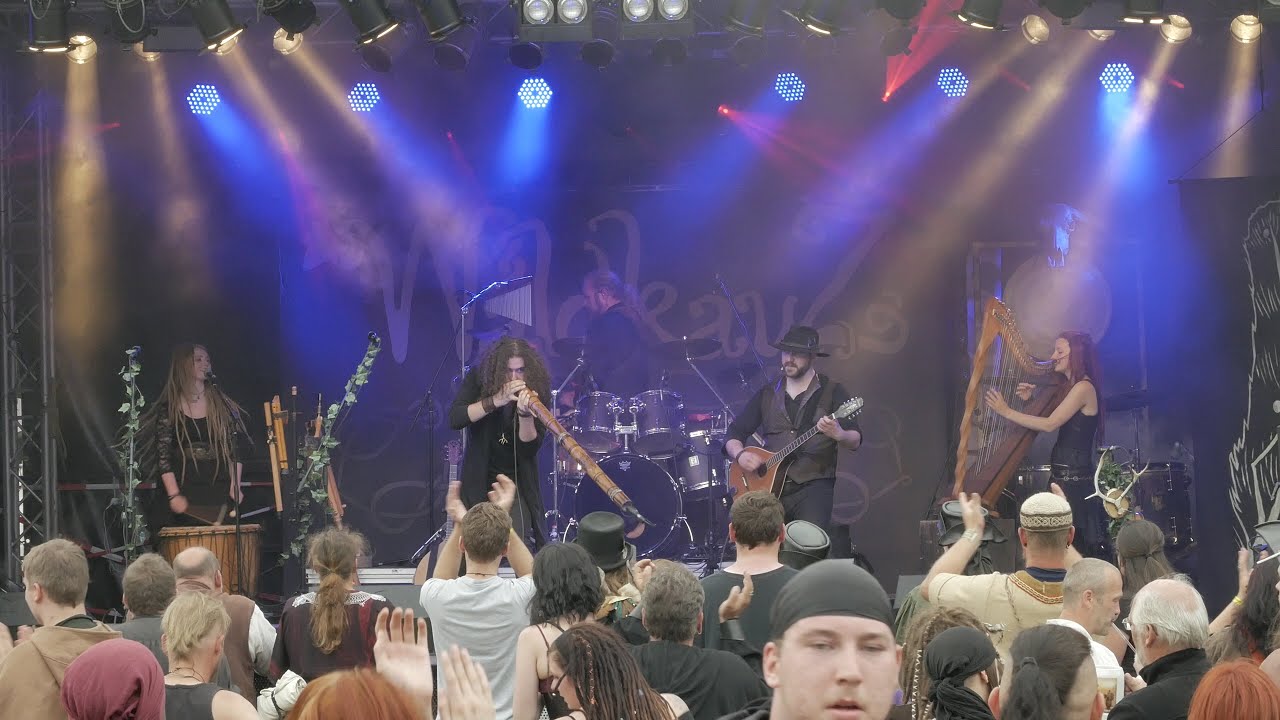 Waldkauz - Tanzgeist @ MPS Bückeburg 2 2016