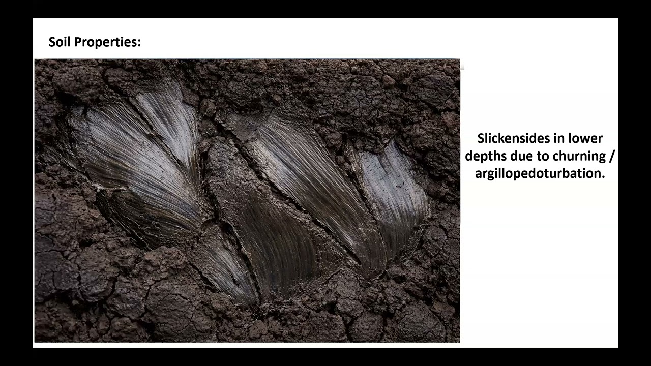 List of soils #Black Soils #soa #agristudent #soilscience