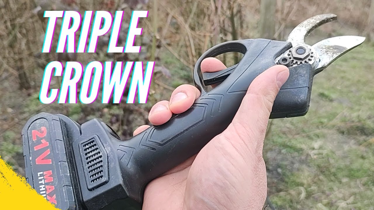 Orezivanje Kupine Triple Crown  - PRVI DEO