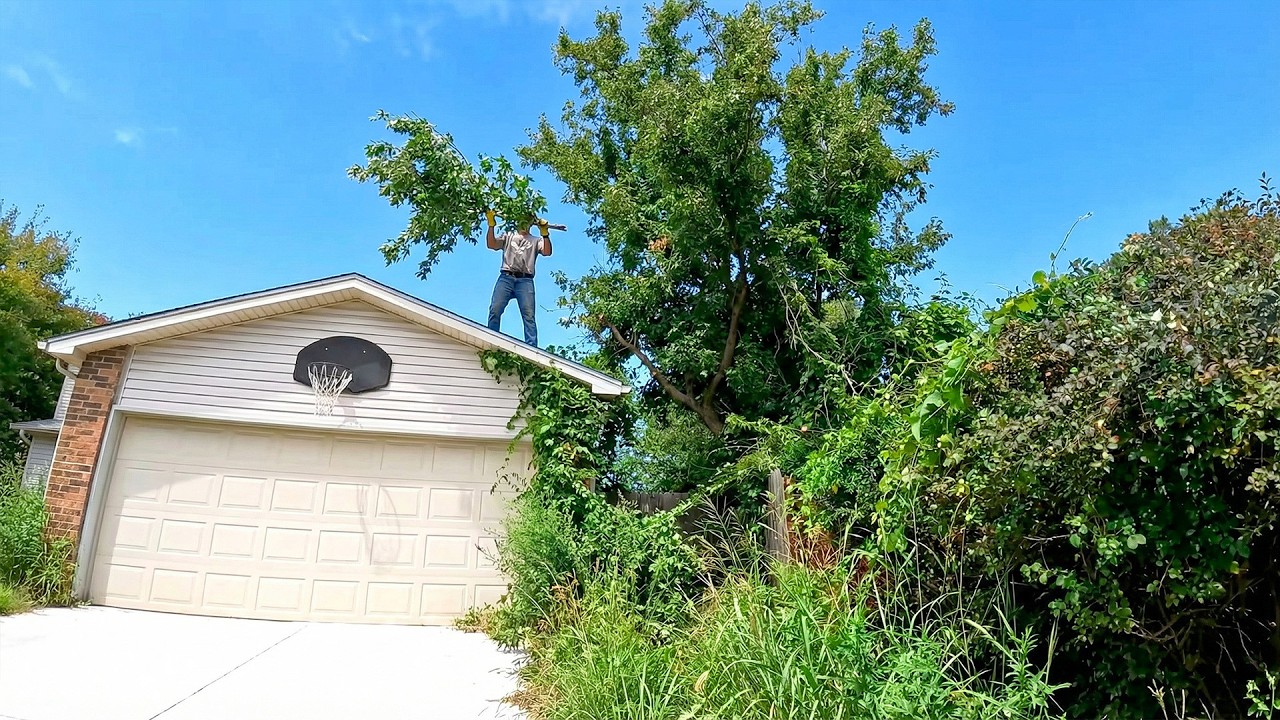 UNDERPAID TEACHER Had Most UNSIGHTLY LAWN On The Block, So We Did This For Him