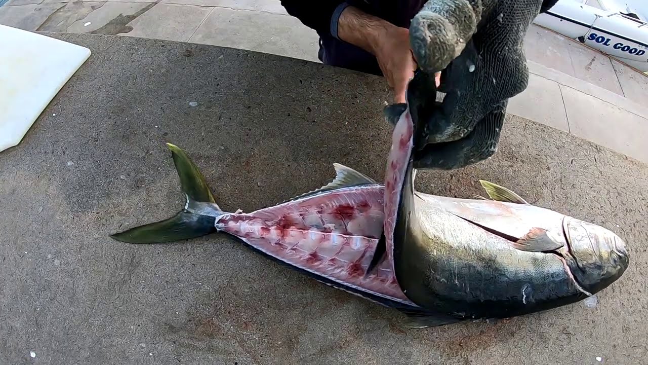 Como filetear pescado - Pesca en Mar
