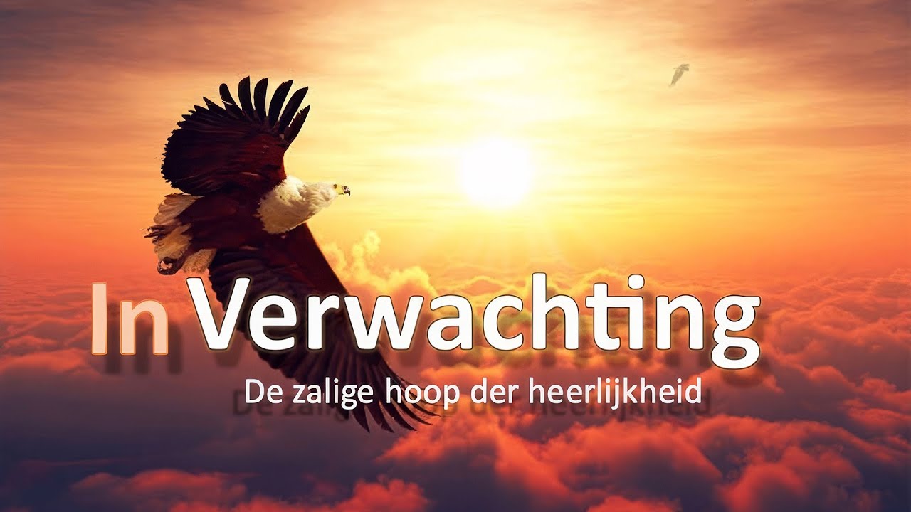 Wachter 281 - In Verwachting