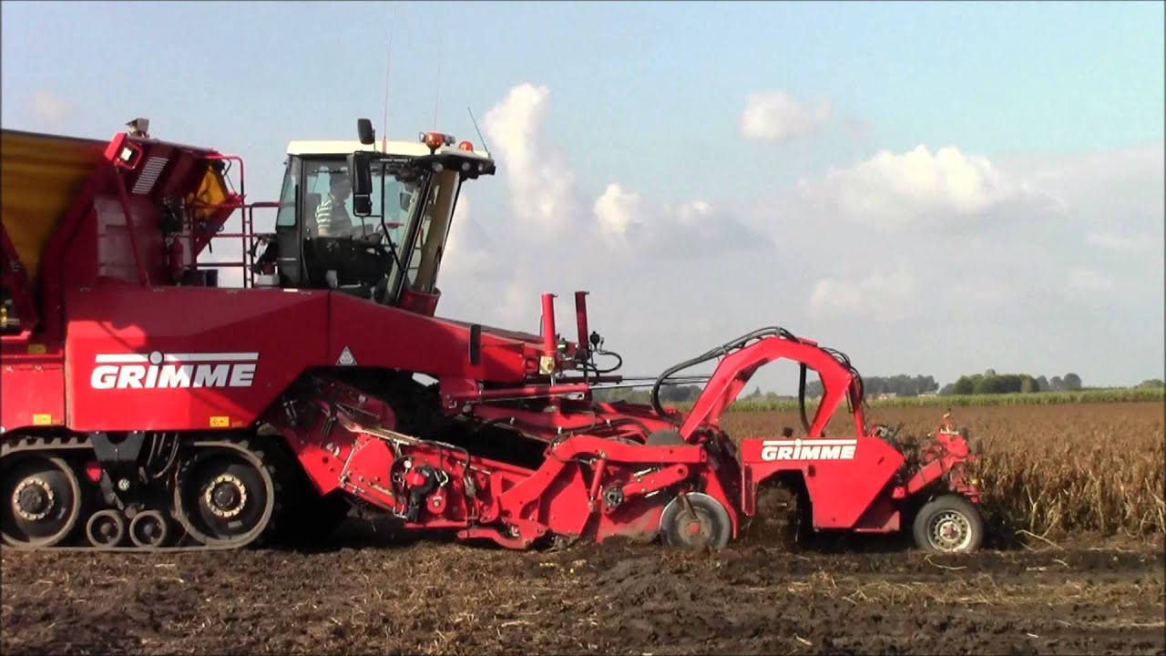 Potato Harvest with Grimme`s 2015