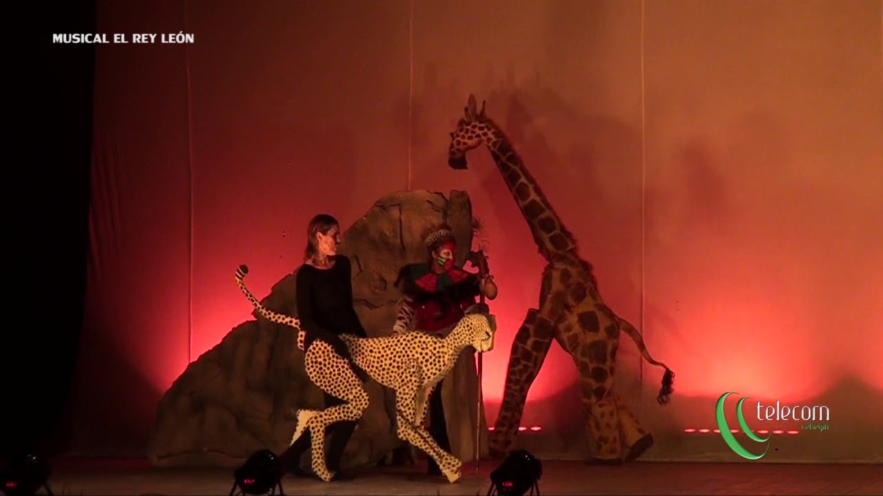 Musical del Rey León -  CEIP las Pedreras (SALA CAMELOT - CEHEGÍN)