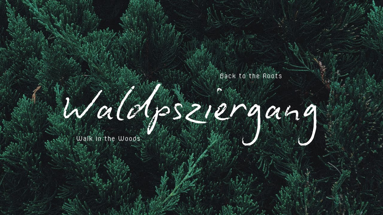 Waldspaziergang zum runterkommen