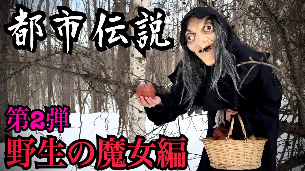 【都市伝説】野生の魔女見つけるまで帰れません！！！