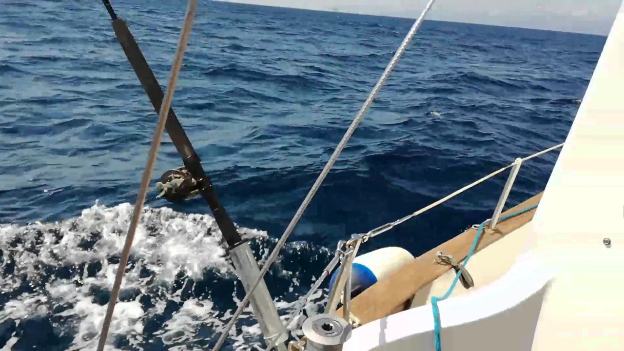 Fisher 30, Piombino Italy
