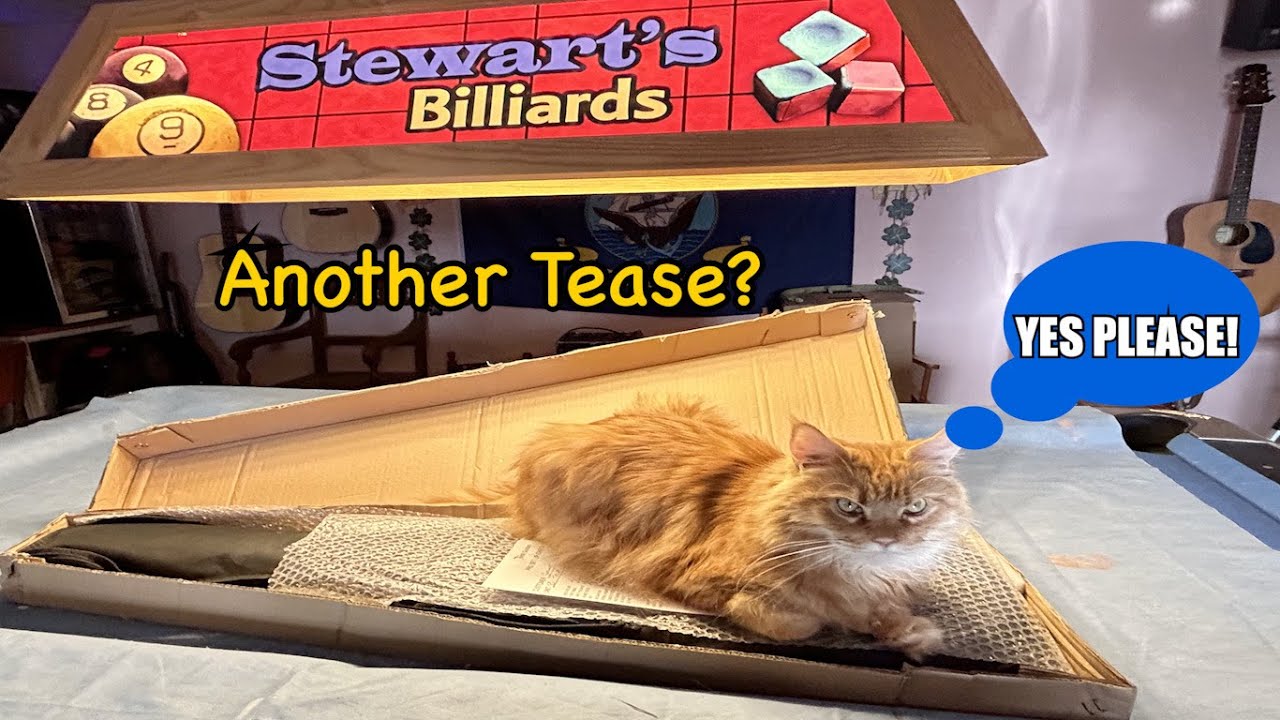 Another Tease? | Yes PLEASE! | Tease SB Tele