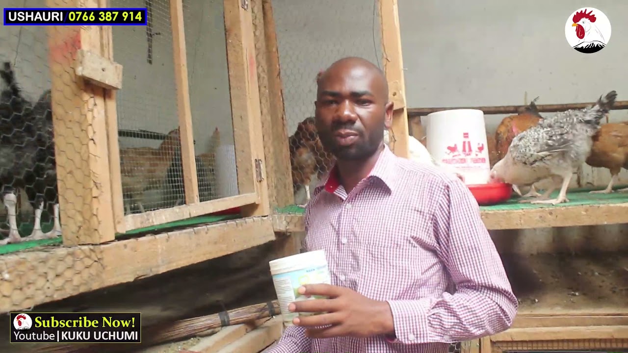 BANDA BORA ENEO DOGO#Kuku Uchumi
