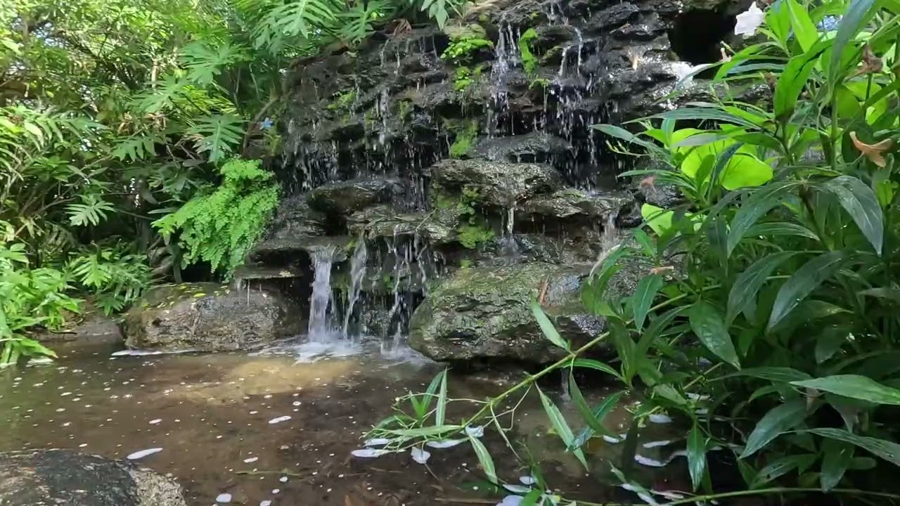 20 Minute Meditation