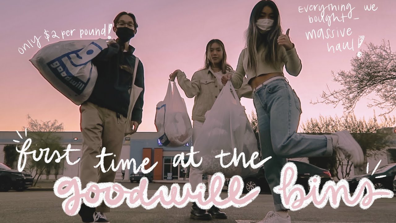 First time at the Goodwill bins + massive haul!!