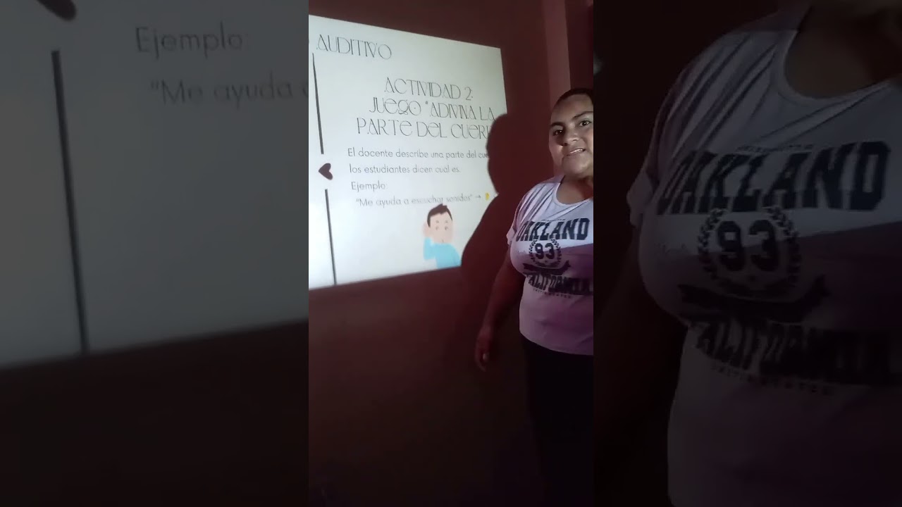 Clase de los estilos de aprendizaje (Educación Inclusiva) 
