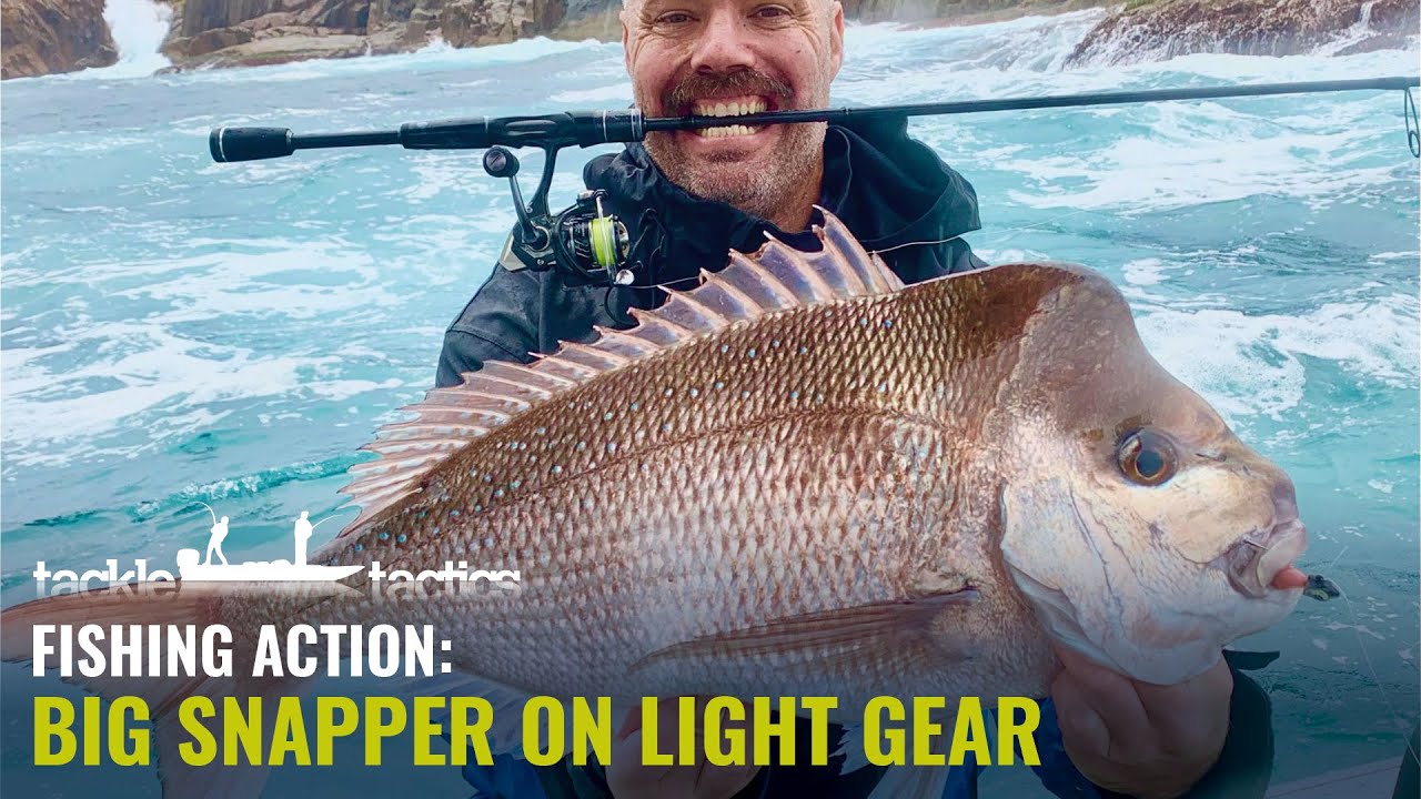 Big Snapper on Bream Gear! Snapper Fishing with Soft Plastics.