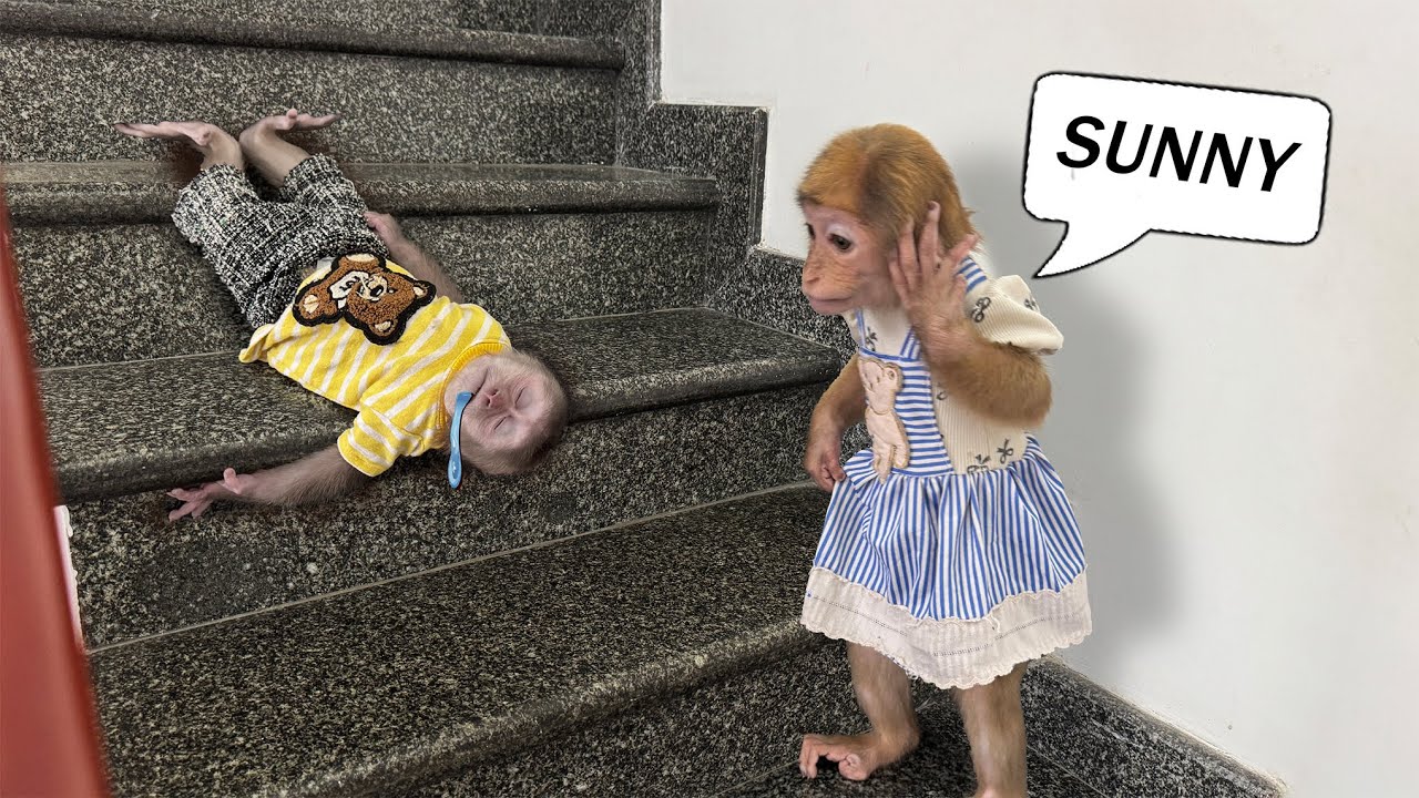 Lucky panics when he sees Sunny lying motionless on the stairs!