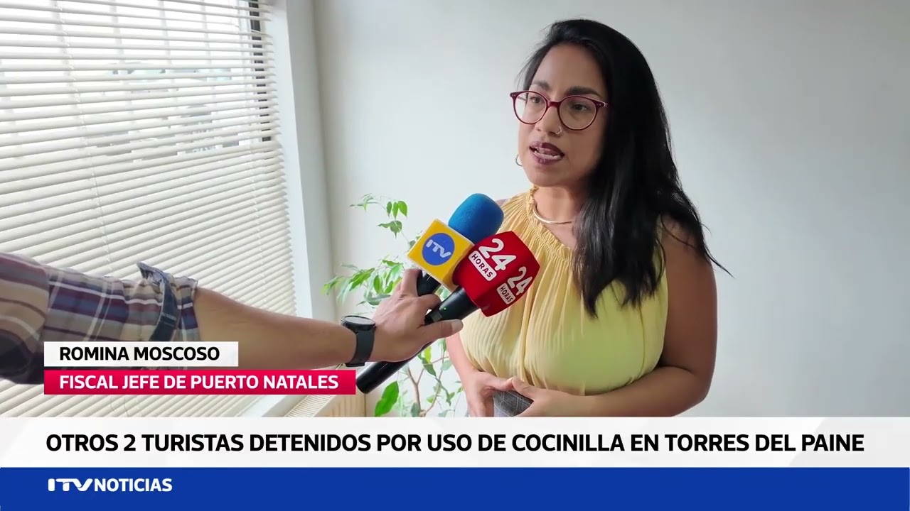 Dos más a lista: detienen a turistas rusos por uso de cocinilla en Torres del Paine