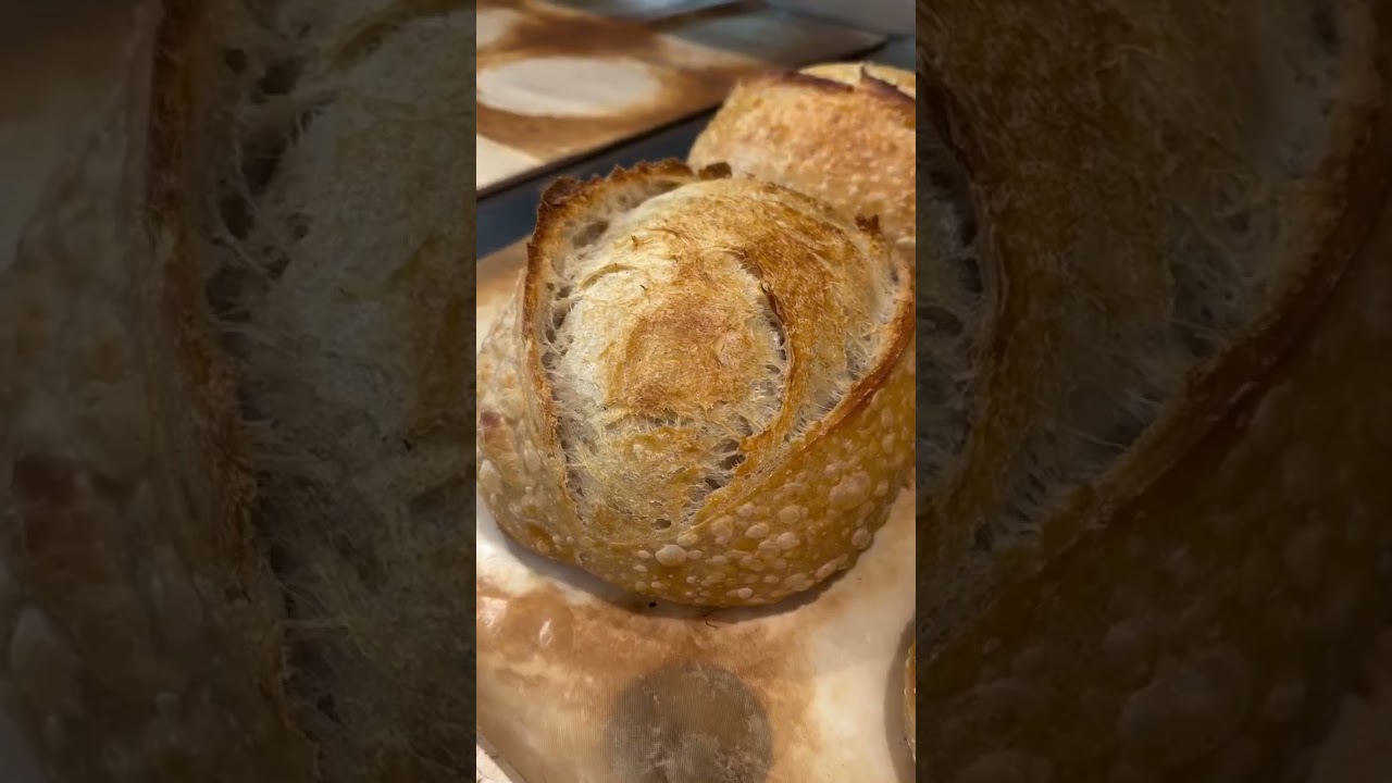 Yes, you can make sourdough in a stand mixer! Here&rsquo;s how&hellip;👀🎥
