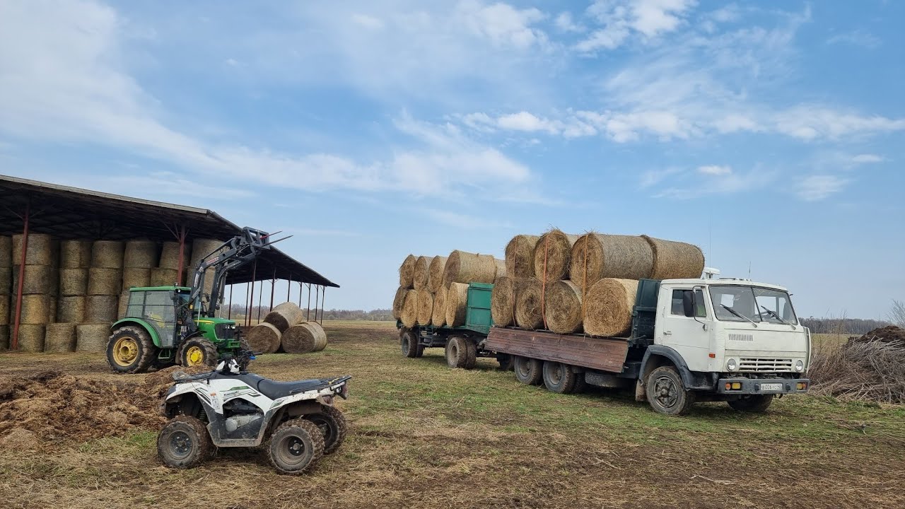 РЕАЛИЗУЕМ СЕНО ПОКУПАТЕЛЯМ. Обзор Джон Дир 5055, Загрузка Сеном Камаза с Прицепом. 17.4.21г....