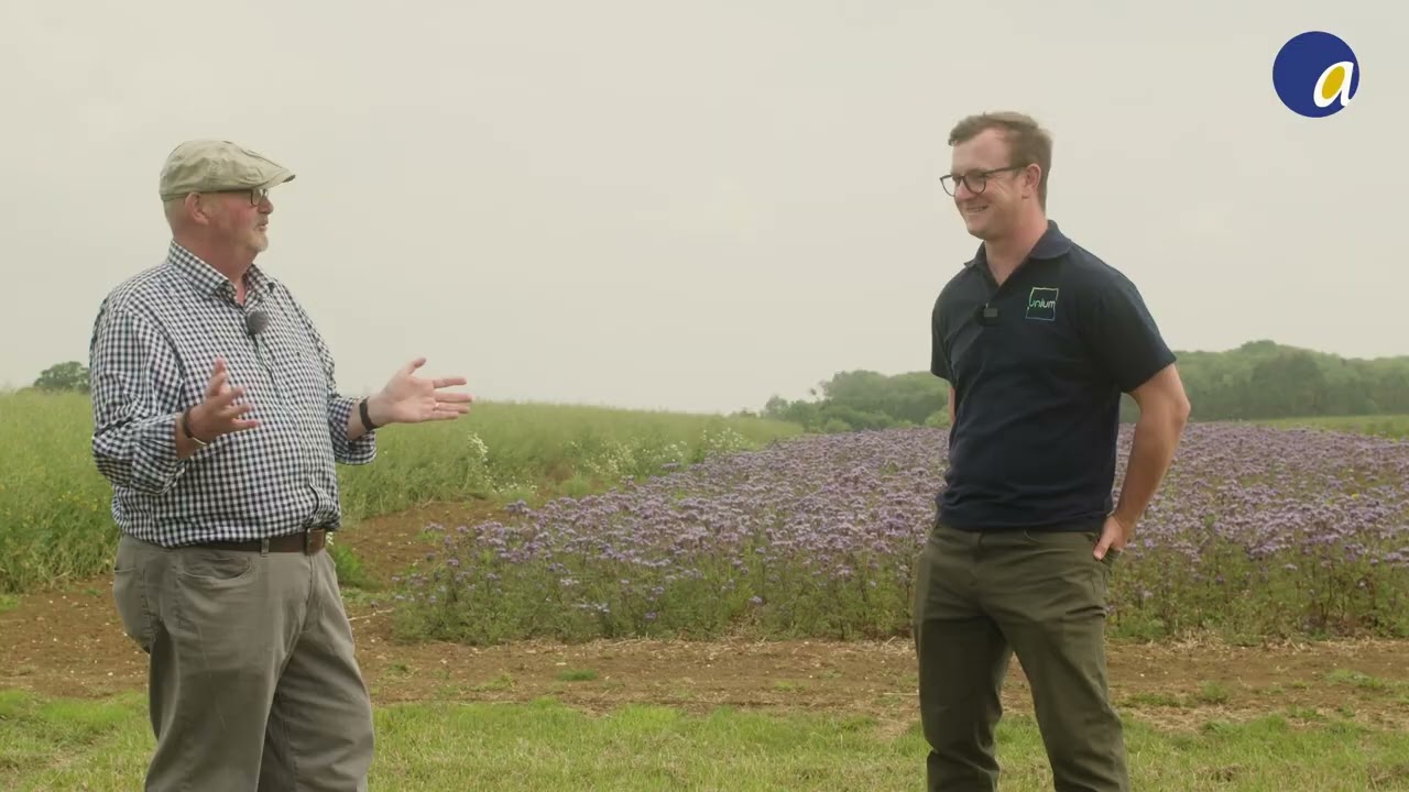 Calfite Extra Deep Dive – Enhancing Plant Health and Nutrition