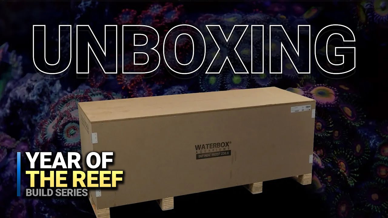 INFINIA Aquarium Unboxing: First Impressions & Setup Plans - Year Of The Reef EP 01