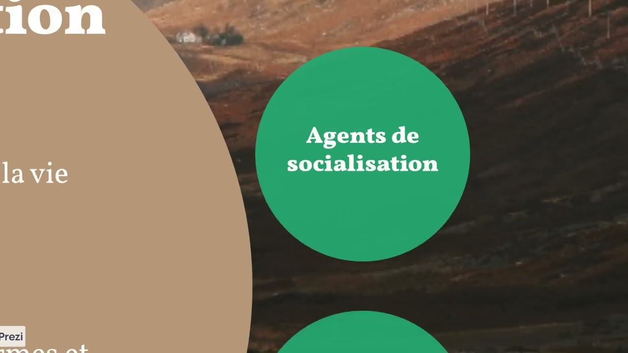 La socialisation, cohésion sociale et intégration sociale
