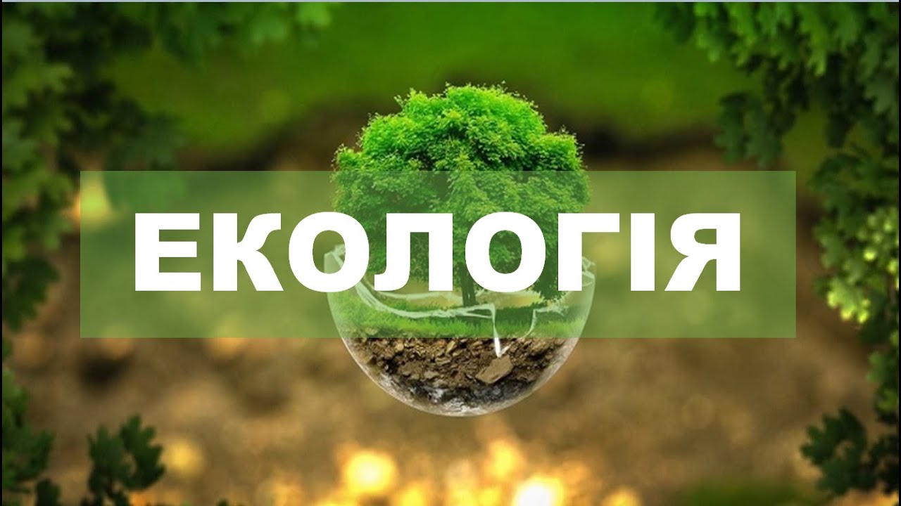 Уся ЕКОЛОГІЯ для НМТ з біології