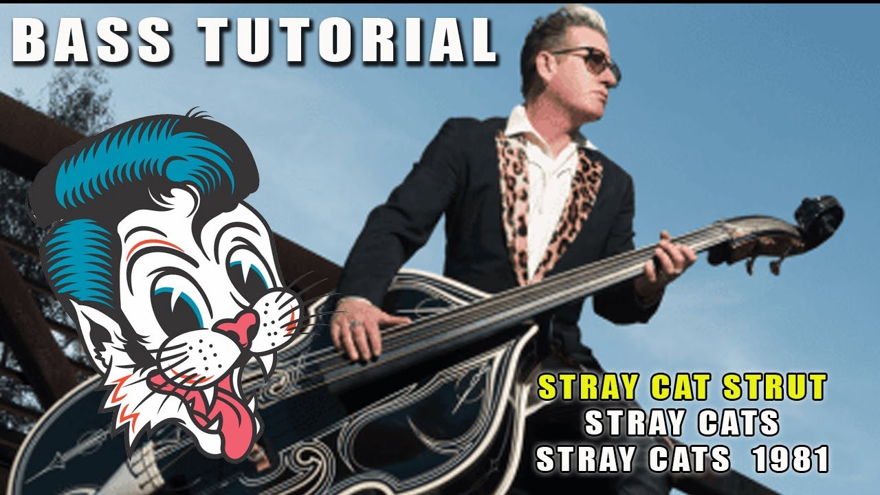 Stray Cat Strut - Bass Analytics - Bass Tutorial - Play through - Bass Tabs