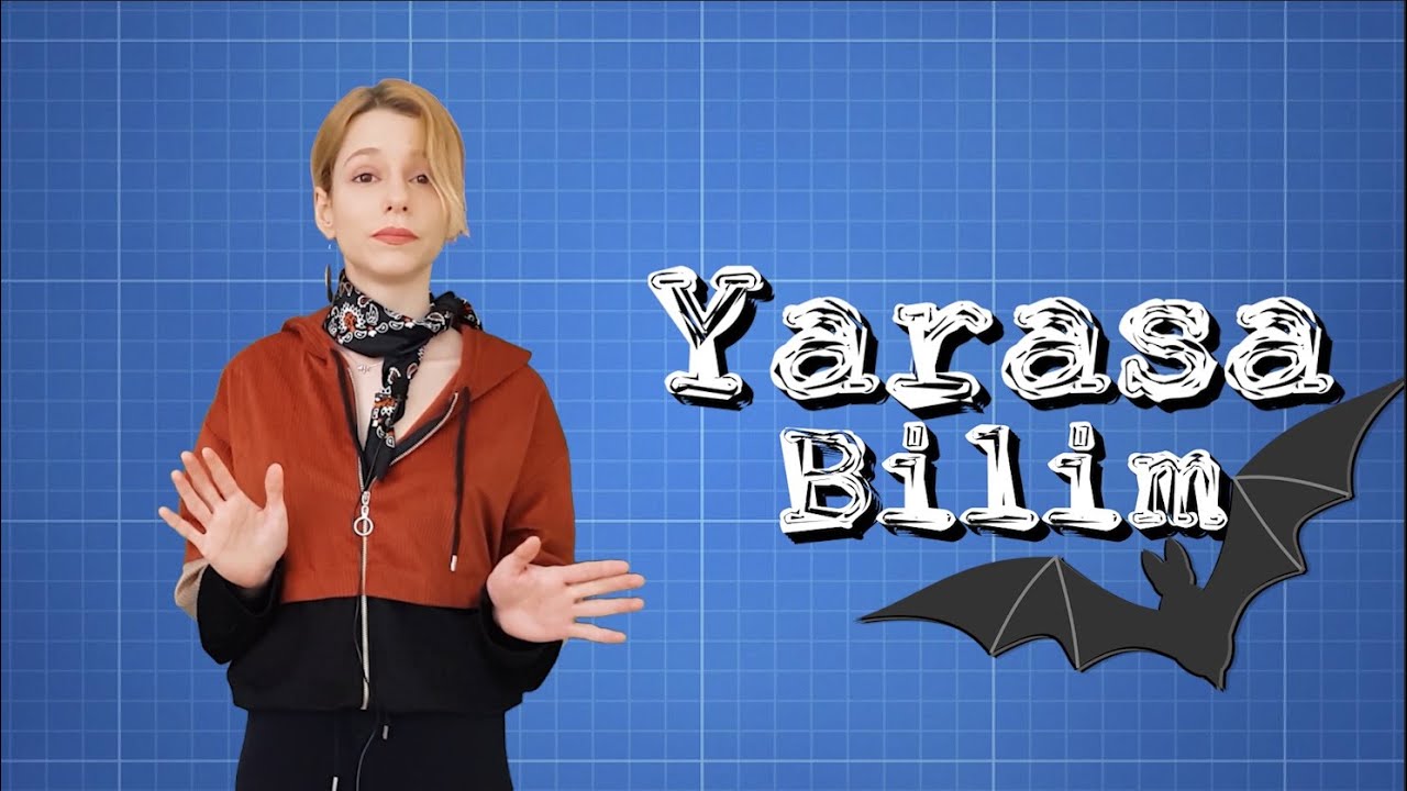 Yarasa Bilimi