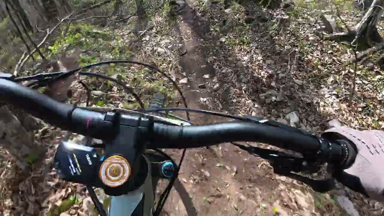 Carolina Reaper track preview Zimska ljiga