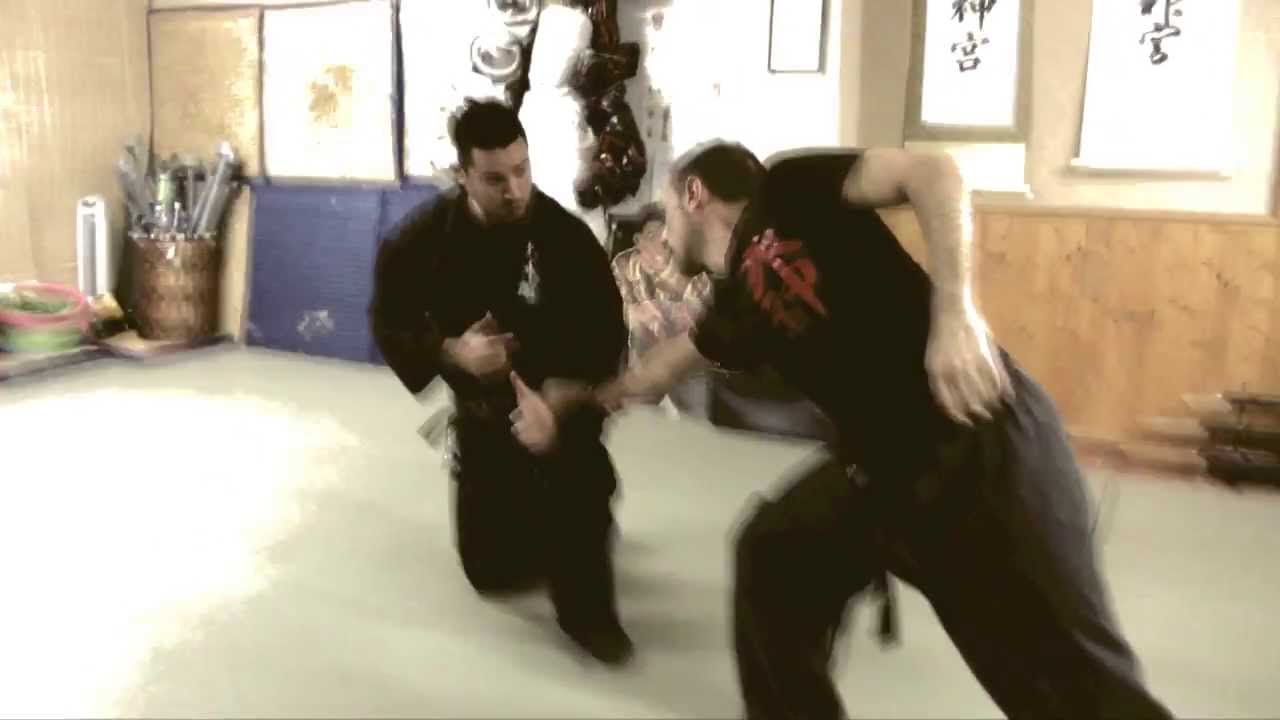 Bujinkan Budotaijutsu 武神館武道體術 (Chikara o nuku - Henka no kankaku)