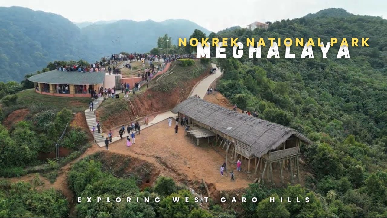 Nokrek Biosphere Reserve | Tura Meghalaya | Exploring New Places in North East India
