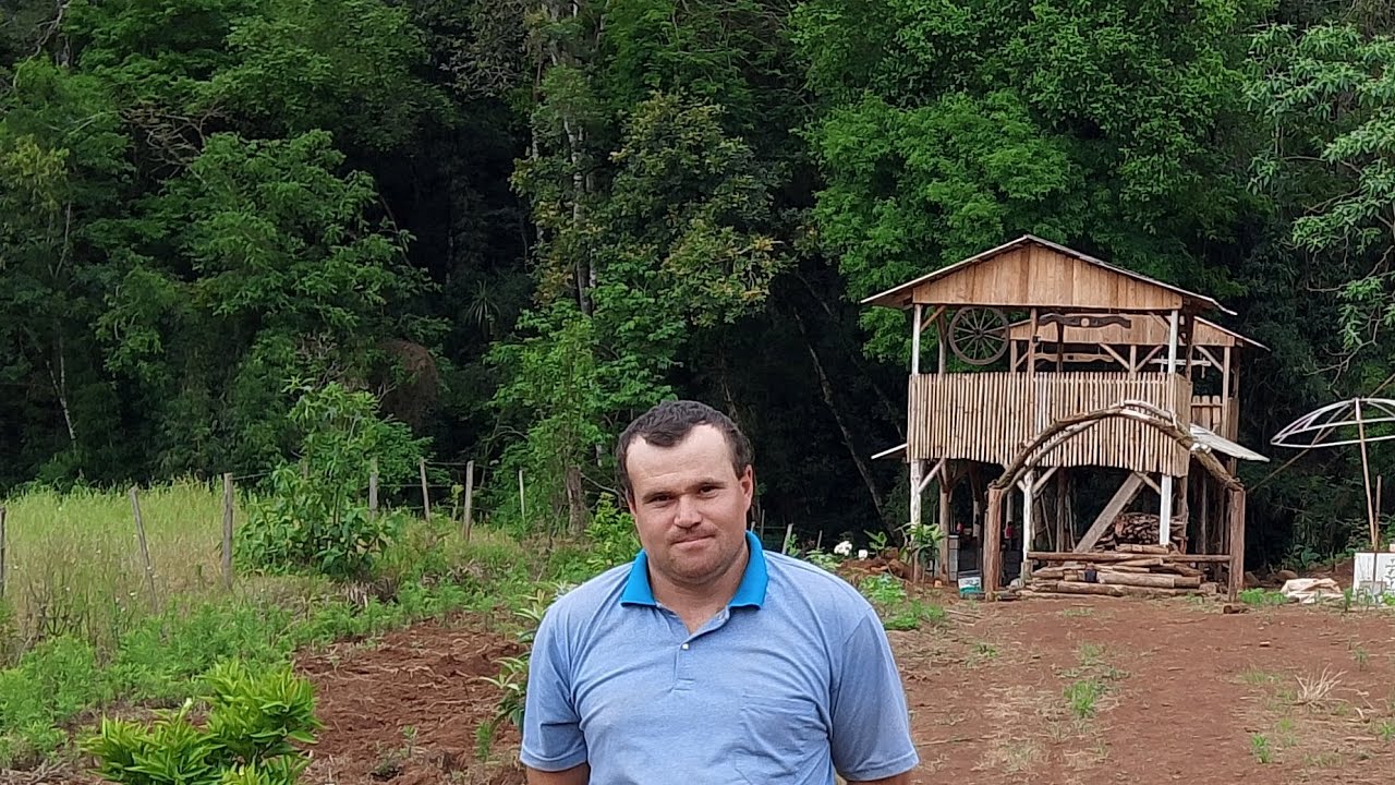 Como cultivar a planta de um pé de tomate Eduardo turella 