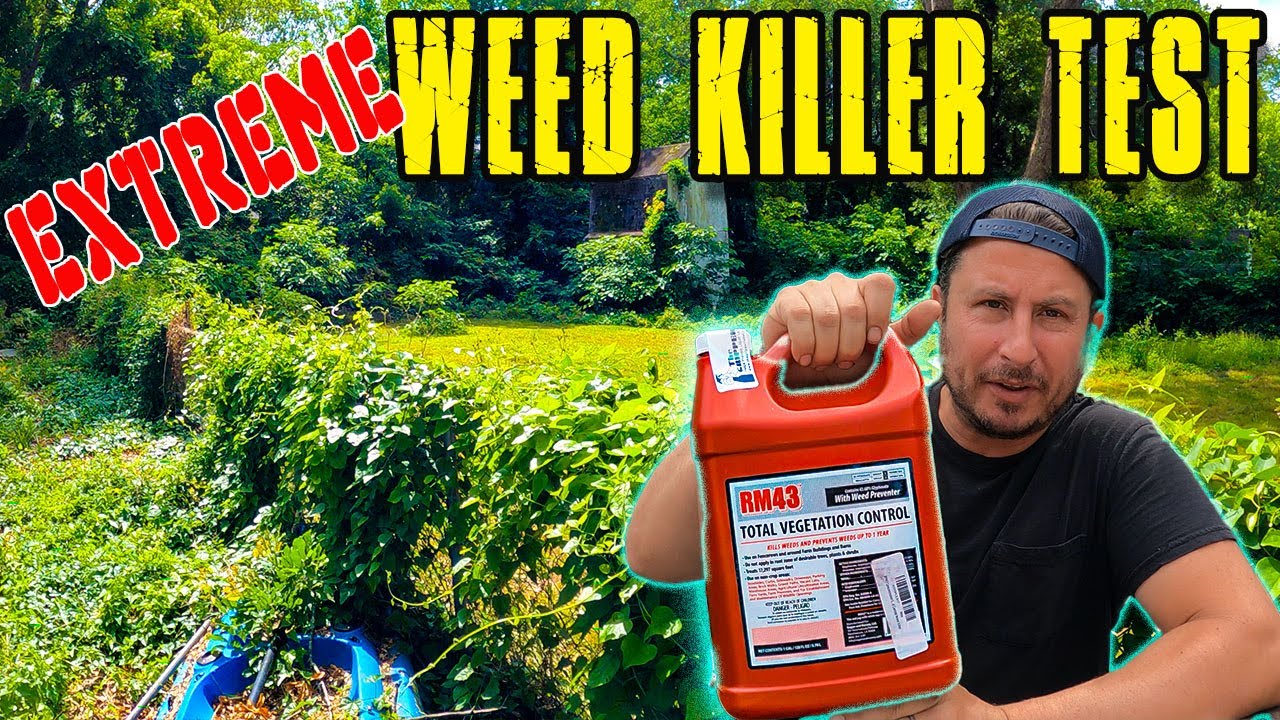 Does RM43 WORK? Ultimate Weed Killer? Before and After - RM43  Test with RESULTS!!!