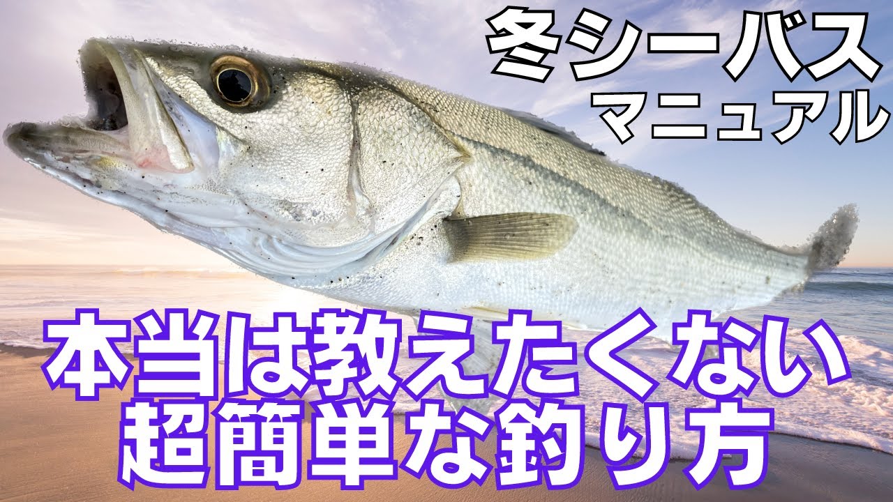 冬にシーバスを釣りたい方へ！初心者が超簡単にシーバスを釣る３つのポイント