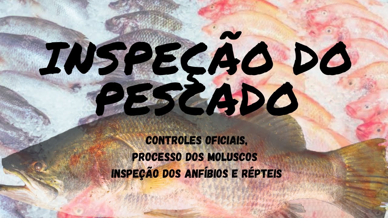 Inspeção dos pescados- Controles oficiais, processo dos moluscos e a inspeção dos anfíbios e répteis