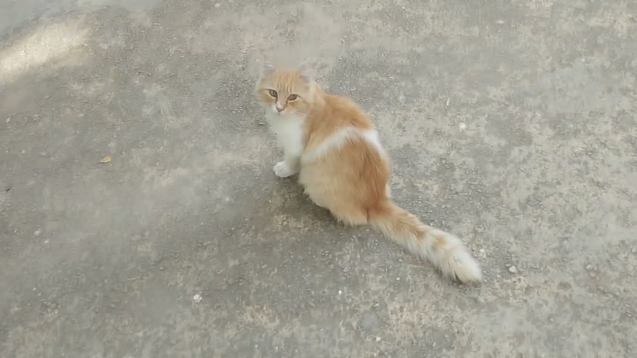 جنان سبيل بفاس