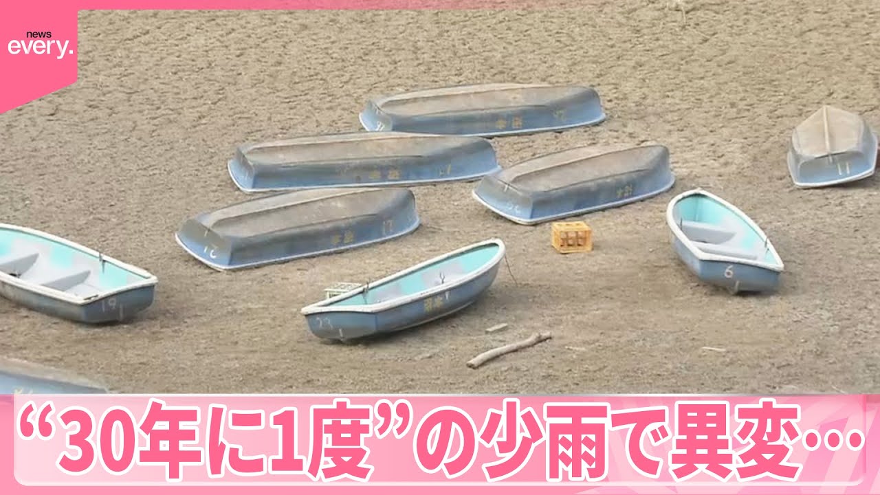 【各地で異変】“30年に1度”の少雨…湖はカラカラ、キャベツはスカスカに