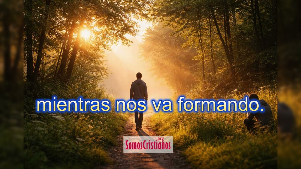 ¿Qué significa ser santo para Dios?