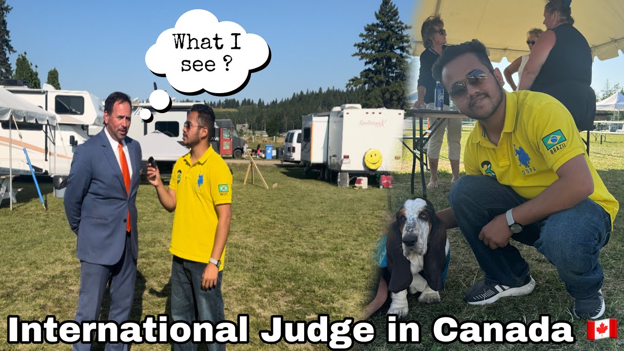 Beautiful Dog Show in Edmonton 🇨🇦 and How Judge give decision in Dog Show ?😱 Cute Dogs 🐶