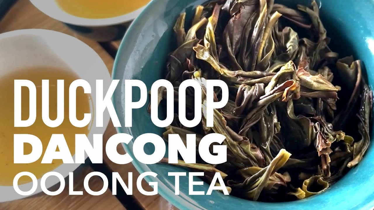 Tea Tasting &ndash; Duckpoop Dancong Oolong Tea